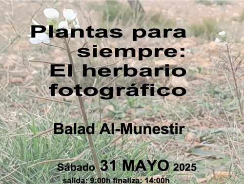 alt=